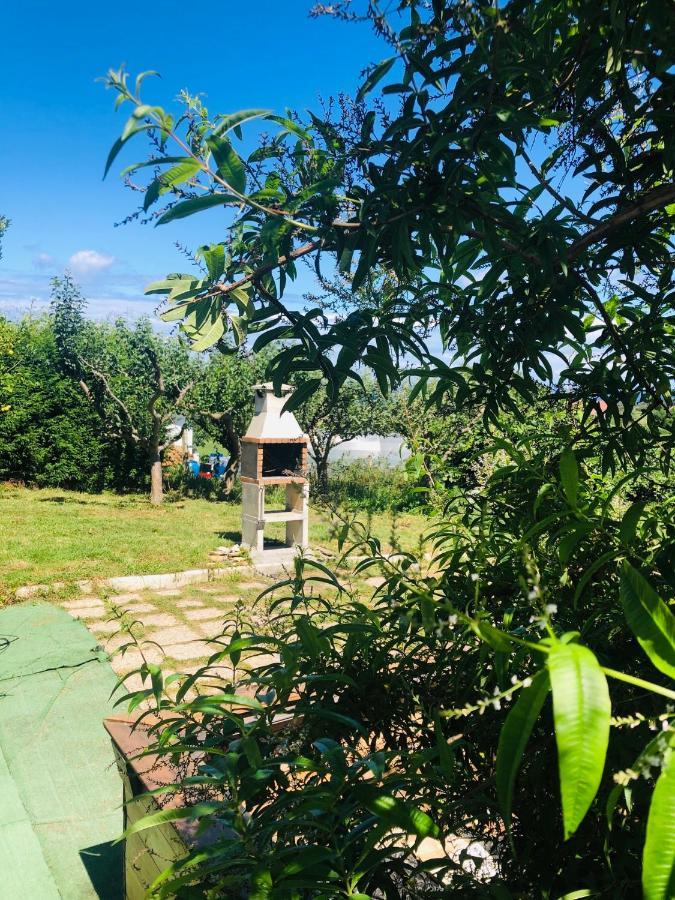 Camelia Casina Rural Villa Albuerne Dış mekan fotoğraf