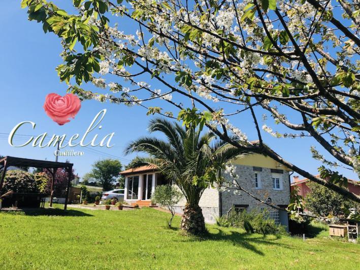 Camelia Casina Rural Villa Albuerne Dış mekan fotoğraf
